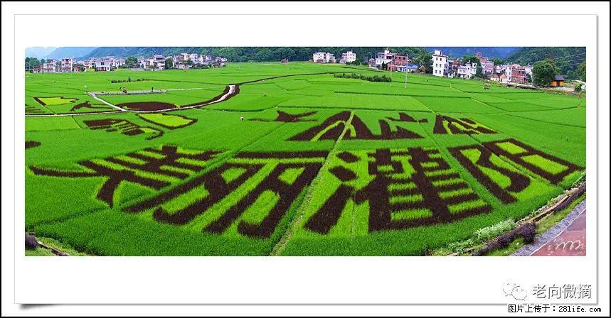 【春天，广西桂林灌阳县向您发出邀请！】开篇 - 游山玩水 - 安顺生活社区 - 安顺28生活网 anshun.28life.com