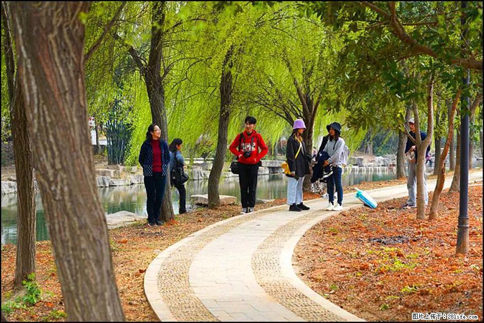 【春天，广西桂林灌阳县向您发出邀请！】江口老街又逢春 - 游山玩水 - 安顺生活社区 - 安顺28生活网 anshun.28life.com