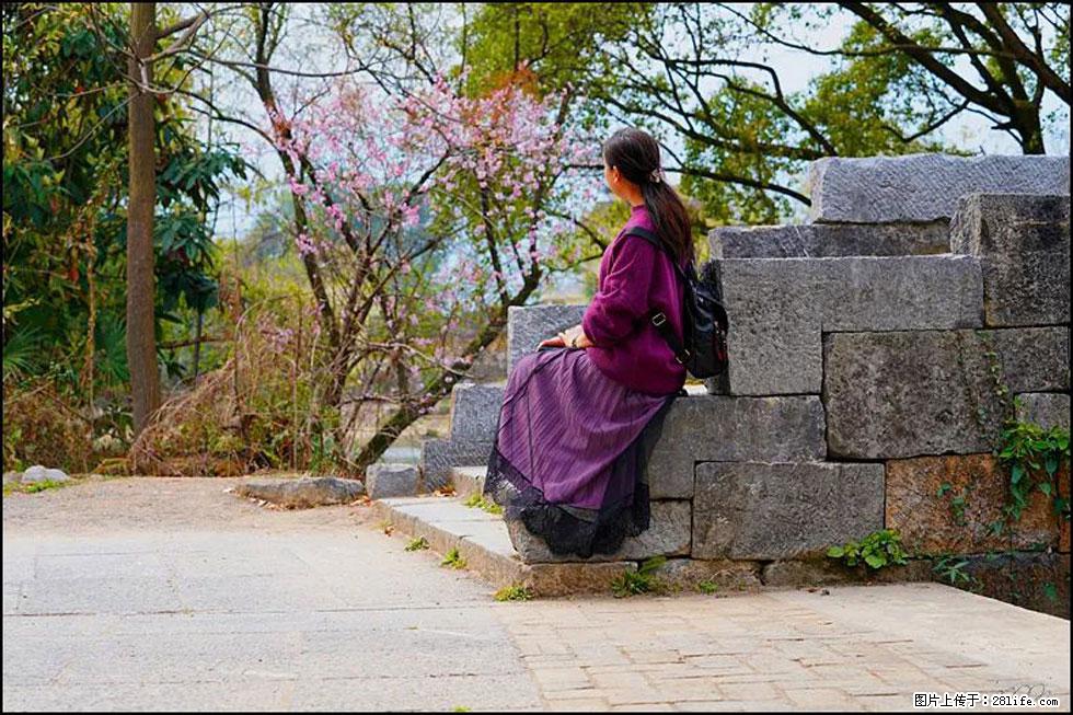 【春天，广西桂林灌阳县向您发出邀请！】江口老街又逢春 - 游山玩水 - 安顺生活社区 - 安顺28生活网 anshun.28life.com