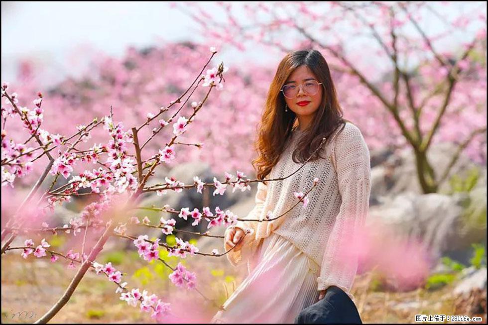 【春天,广西桂林灌阳县向您发出邀请!】望月岭上桃花开 - 游山玩水 - 安顺生活社区 - 安顺28生活网 anshun.28life.com