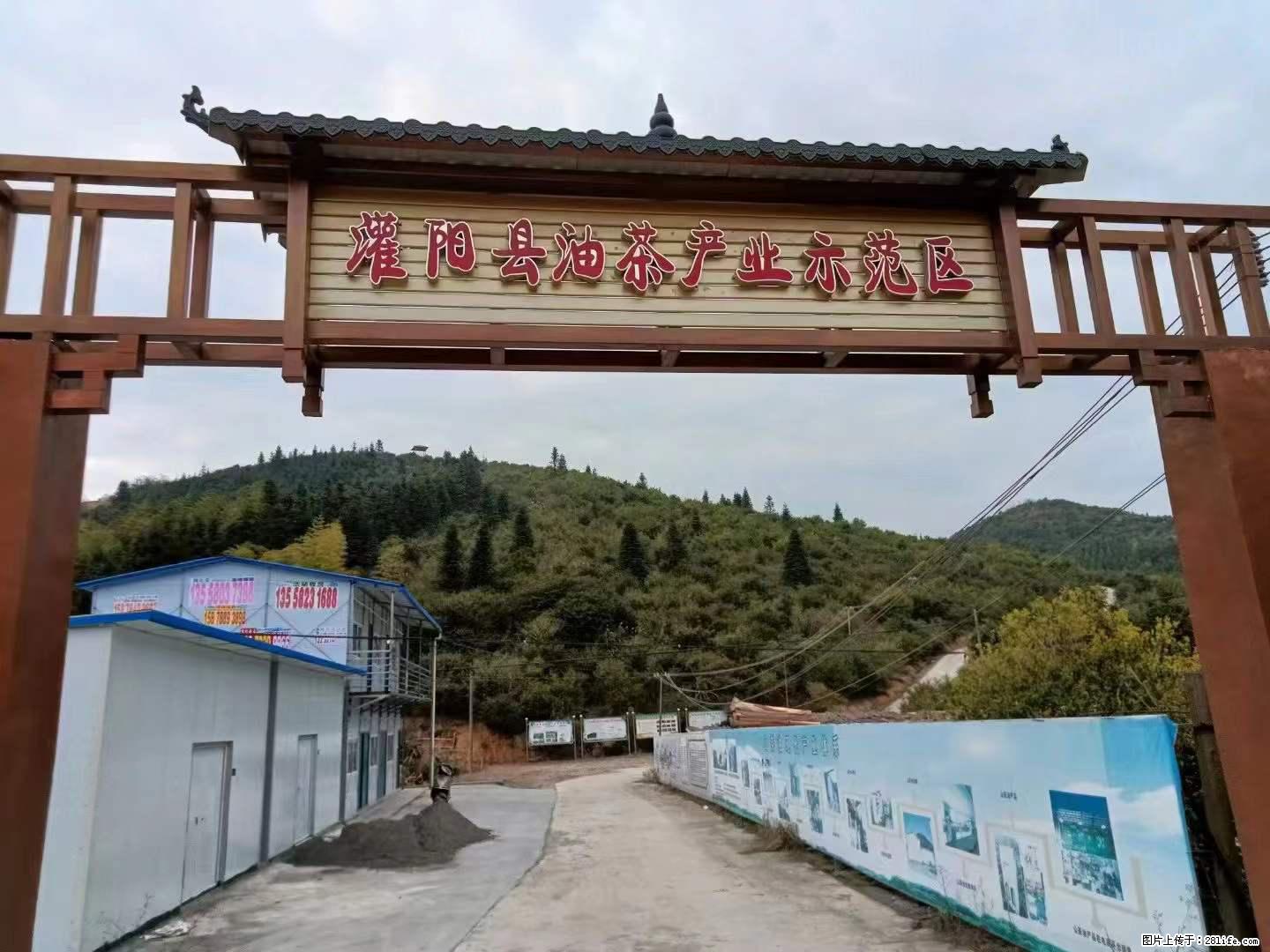 【灌阳县油茶产业示范区】一个有着充实的精神生活的人,对待身外之物自会有一种淡泊的态度 - 美食天地 - 安顺生活社区 - 安顺28生活网 anshun.28life.com