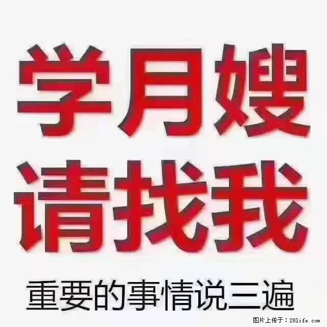 【招聘】月嫂，上海徐汇区 - 职场交流 - 安顺生活社区 - 安顺28生活网 anshun.28life.com