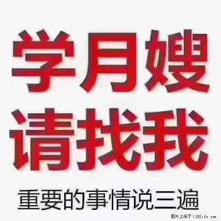 【招聘】月嫂，上海徐汇区 - 安顺28生活网 anshun.28life.com