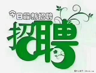 上海青浦区招仓管 - 安顺28生活网 anshun.28life.com