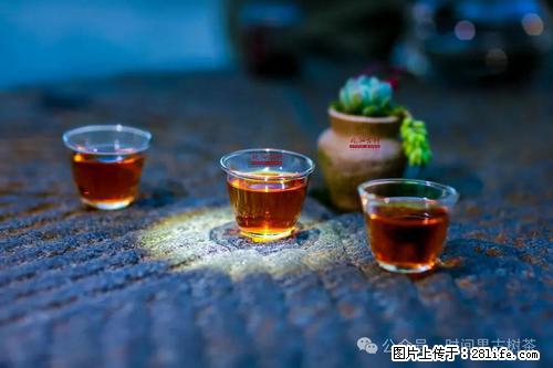 时间果百年古树2025年春红茶 - 购物交流 - 安顺生活社区 - 安顺28生活网 anshun.28life.com