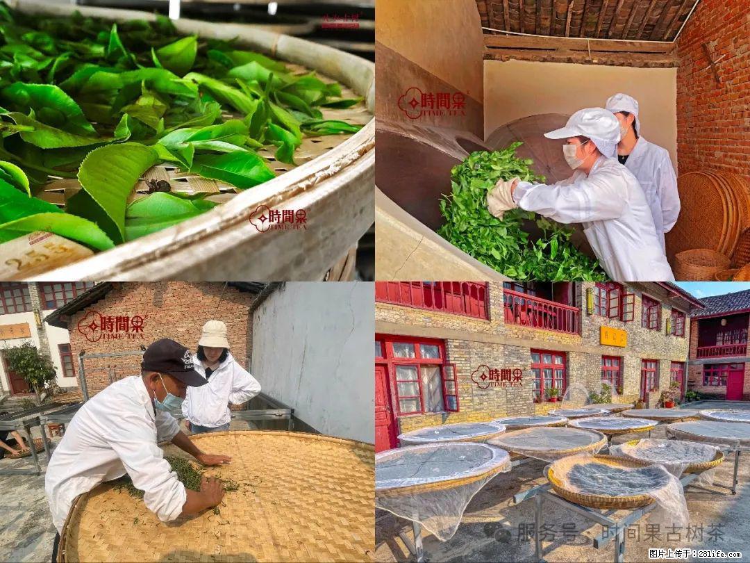 时间果百年古树龙珠普洱生茶 - 购物交流 - 安顺生活社区 - 安顺28生活网 anshun.28life.com