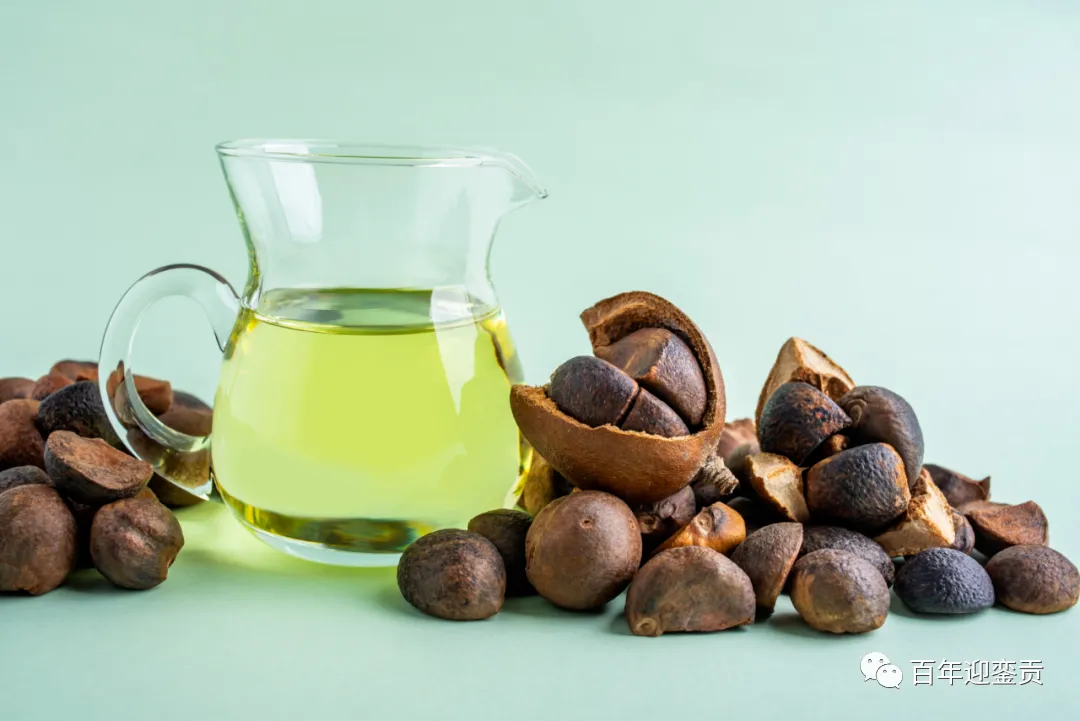 世界没有真相,只有认知,最好的食用油是中国的山茶油! - 安顺生活资讯 - 安顺28生活网 anshun.28life.com