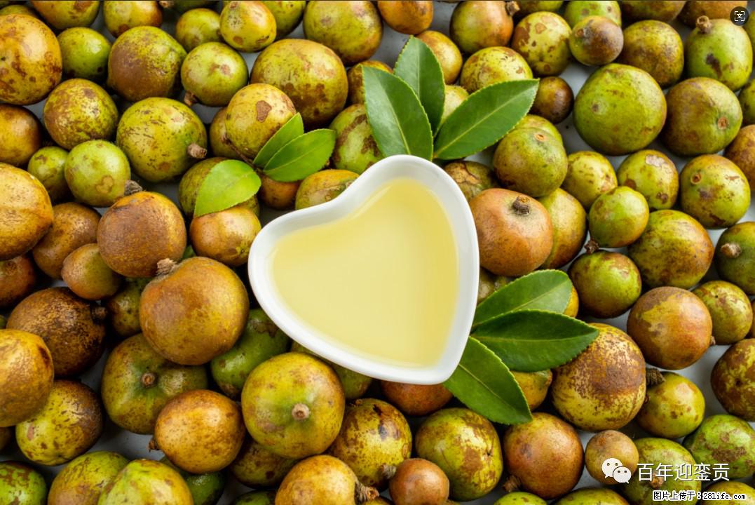 世界没有真相,只有认知,最好的食用油是中国的山茶油! - 安顺生活资讯 - 安顺28生活网 anshun.28life.com