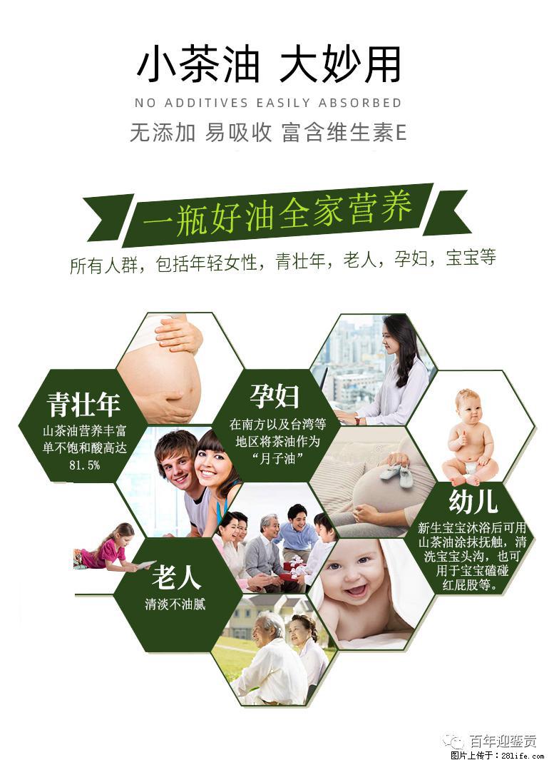 世界没有真相,只有认知,最好的食用油是中国的山茶油! - 安顺生活资讯 - 安顺28生活网 anshun.28life.com