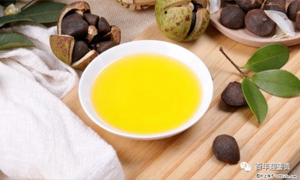 世界没有真相,只有认知,最好的食用油是中国的山茶油! - 安顺生活资讯 - 安顺28生活网 anshun.28life.com