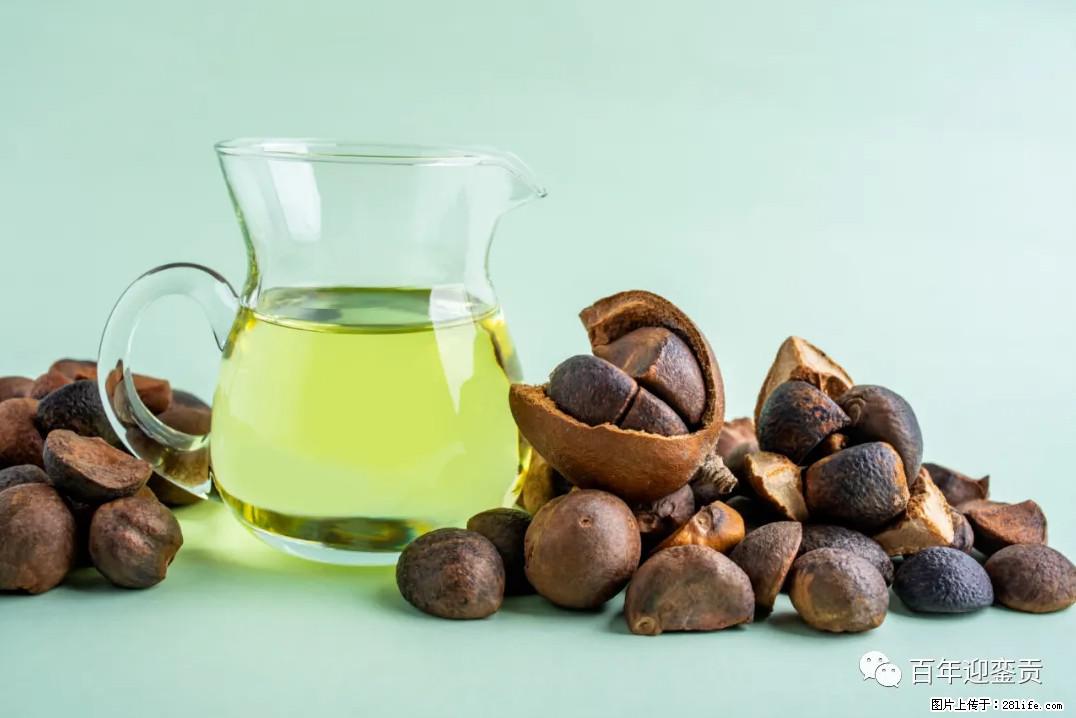 世界没有真相，只有认知，最好的食用油是中国的山茶油！ - 安顺生活资讯 - 安顺28生活网 anshun.28life.com