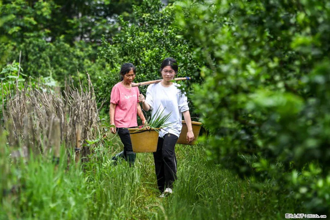 全网追的“扁担女孩”，找了一份暑假工，时薪12元 - 安顺生活资讯 - 安顺28生活网 anshun.28life.com