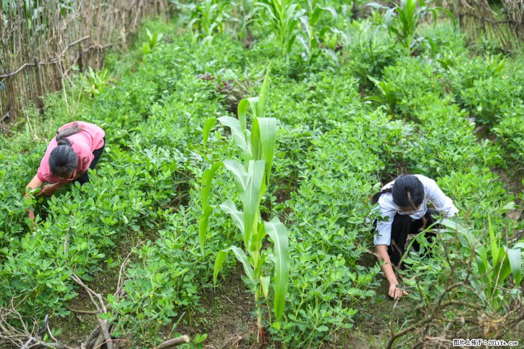 全网追的“扁担女孩”，找了一份暑假工，时薪12元 - 安顺生活资讯 - 安顺28生活网 anshun.28life.com