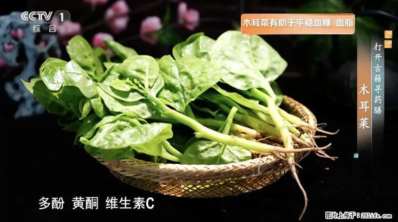 比牛奶补钙还厉害!凉血解毒、稳血糖...这菜冬天必吃,很多人却当草 - 安顺生活资讯 - 安顺28生活网 anshun.28life.com