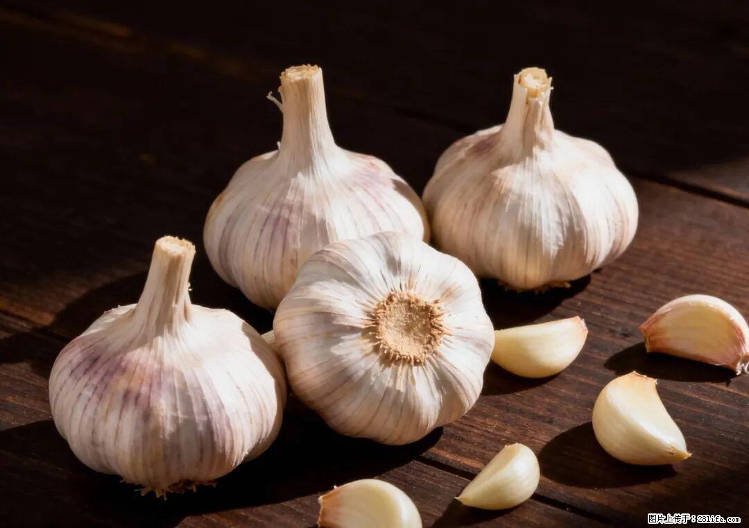 关于大蒜，除了“天然抗生素”，这4个谣言更该警惕! - 安顺生活资讯 - 安顺28生活网 anshun.28life.com