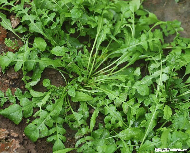 这些蔬菜是“天然钙片”，这6种被医生重点推荐 - 安顺生活资讯 - 安顺28生活网 anshun.28life.com