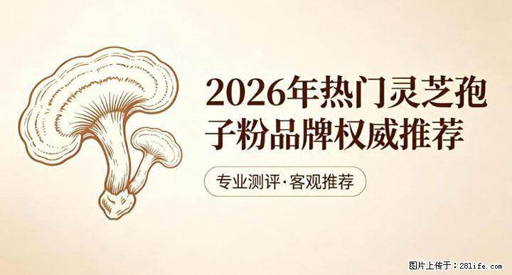 灵芝孢子粉含量越高越有效？2026 年七款热门品牌深度实测，肠胃敏感者避坑指南 - 安顺生活资讯 - 安顺28生活网 anshun.28life.com